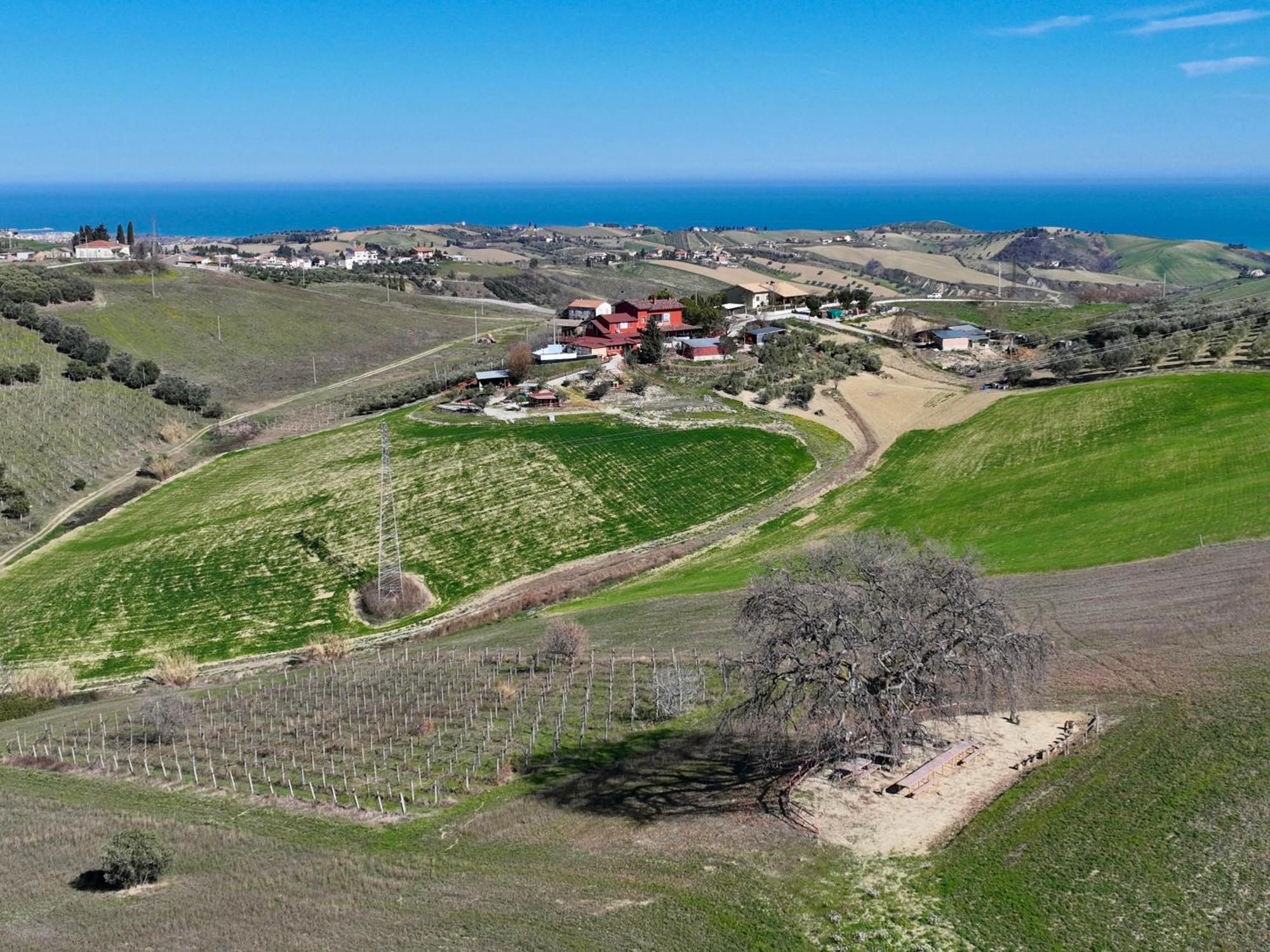B&B Gli Amici Del Tubarello Roseto Degli Abruzzi Extérieur photo