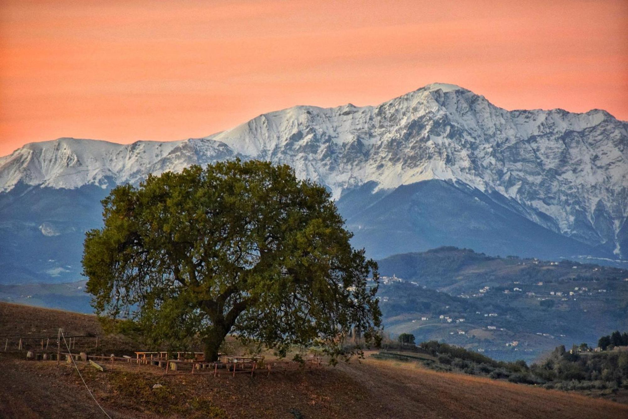 B&B Gli Amici Del Tubarello Roseto Degli Abruzzi Extérieur photo